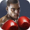 Rei Boxe - Punch Boxing 3D