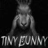 Tiny Bunny