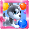 Bubble Puppy