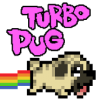Turbo Pug