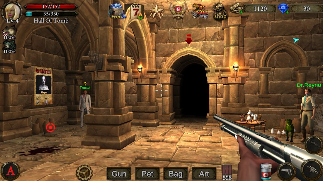 Dungeon Shooter : The Forgotten Temple