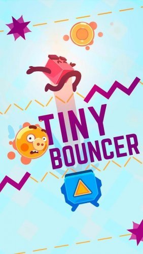 Tiny Bouncer