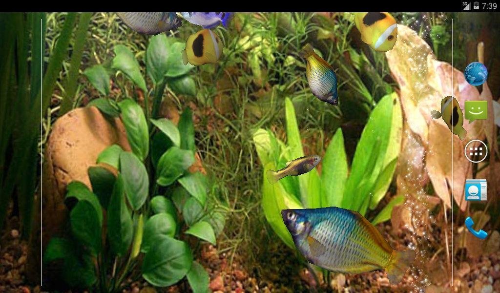 Aqua 3D Live-Hintergrund