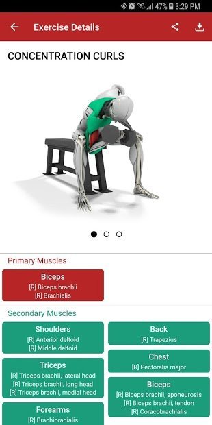 MuscleMatics