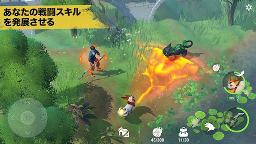 アミキンサバイバル