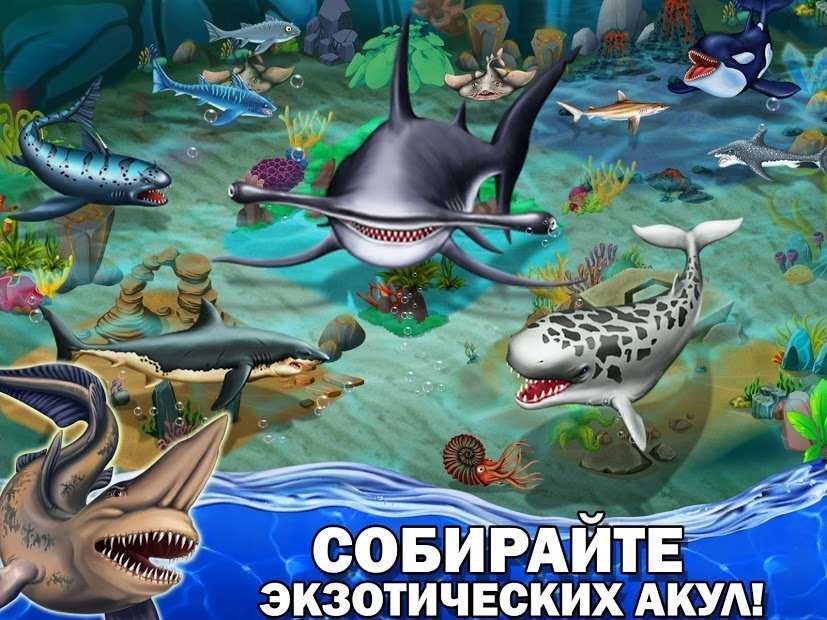 Shark World