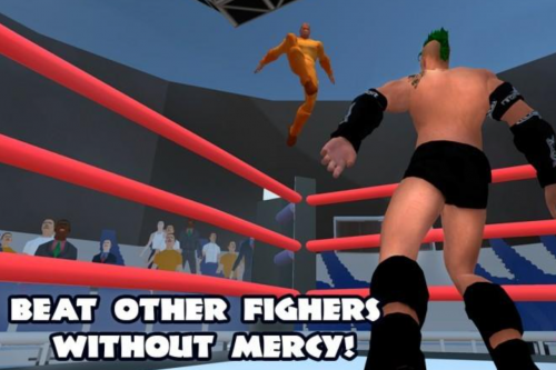 Wrestling Fighting Revolution