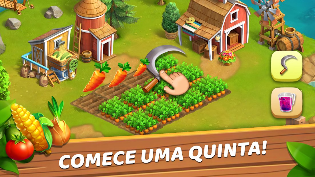 Funky Bay – Fazendas e Aventura