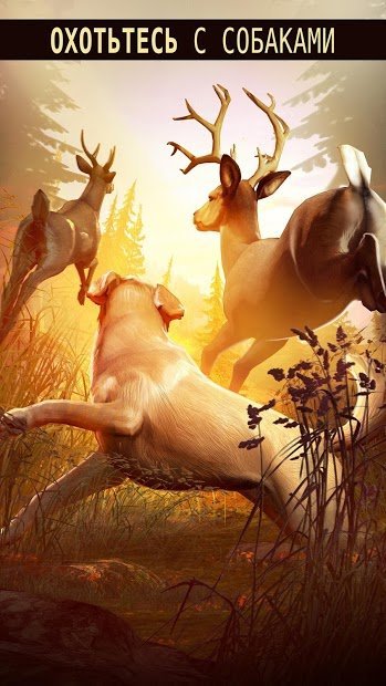 Deer Hunter 2018