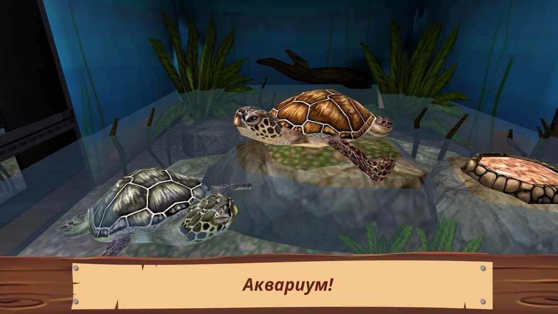 PetWorld: приют животных