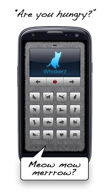 Voces felinas - ¡Juega con tu gato!