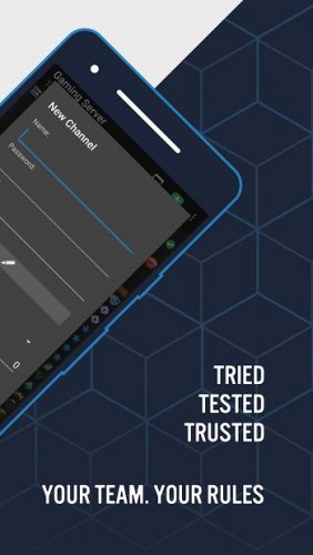 TeamSpeak 3 - Voice Chat Software