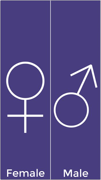 Skins for Minecraft PE