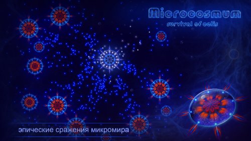 Microcosmum: survival of cells