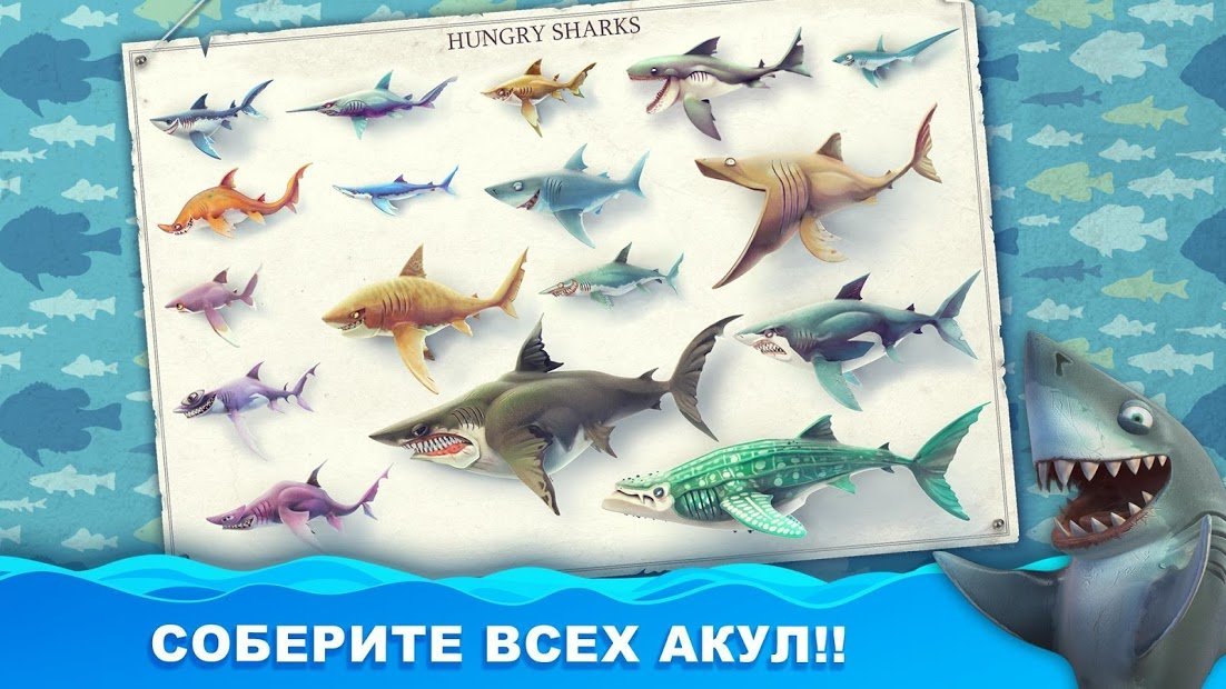 Hungry Shark World