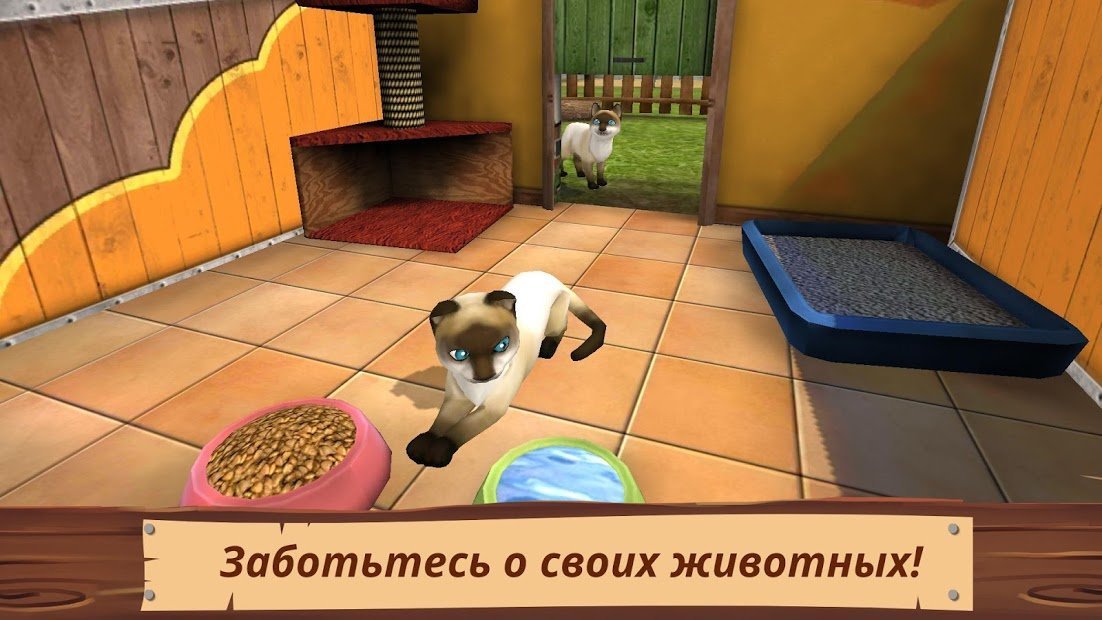 PetWorld: приют животных