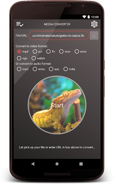 Platinum Media Converter