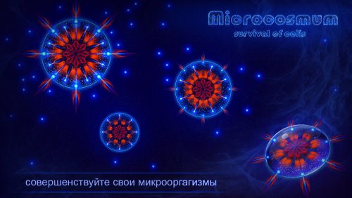 Microcosmum: survival of cells