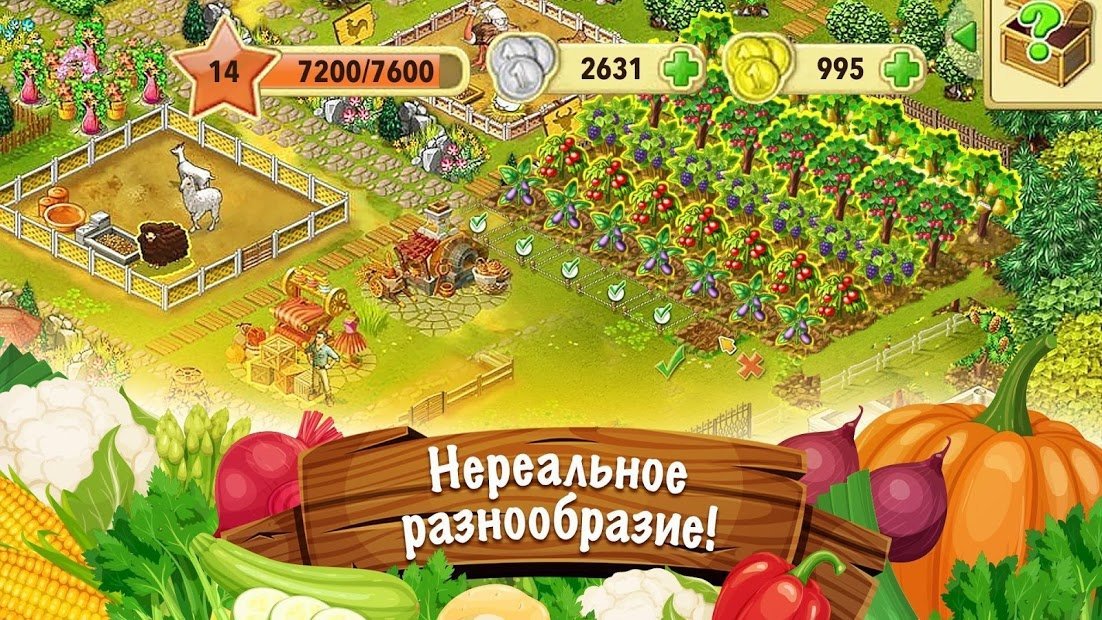 Ферма Джейн