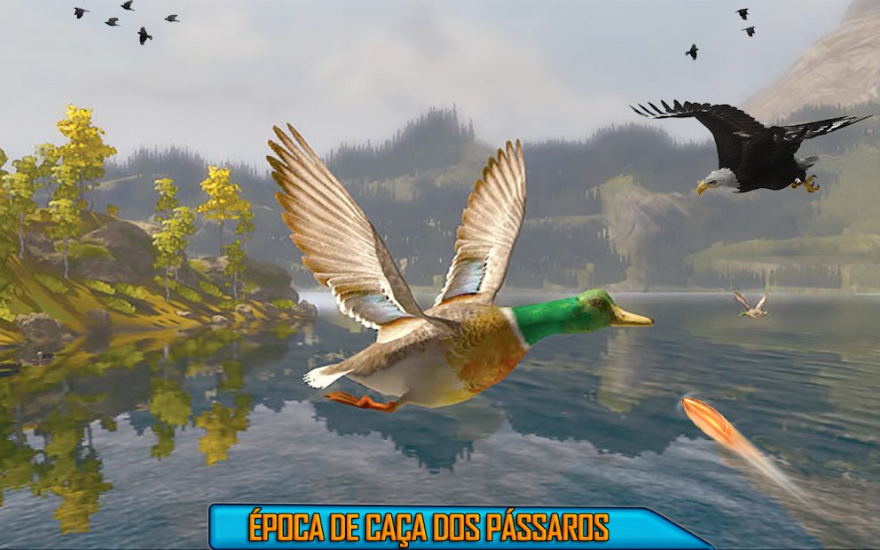 Atirador de aves do deserto