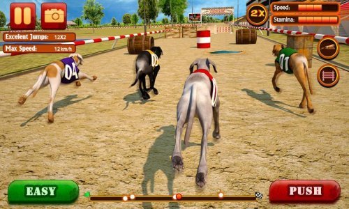 Dog Race & Stunts 2016