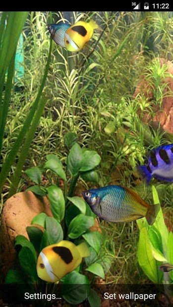 Aqua 3D Fondos Animados