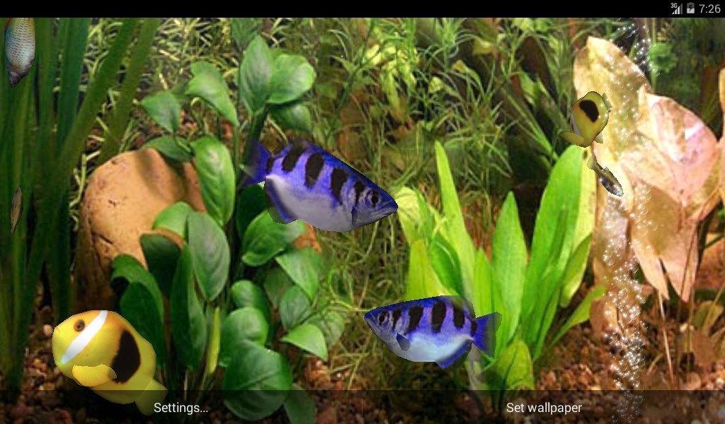 Aqua 3D Live-Hintergrund