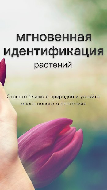 PictureThis растения признать