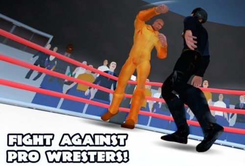 Wrestling Fighting Revolution