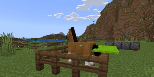 Minecraft 1.19.51