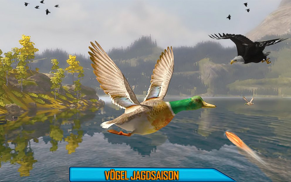 Wüstenvögel Scharfschütze    