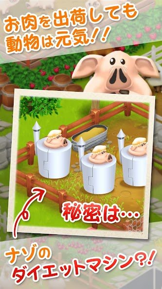 ヘイ・デイ Hay Day