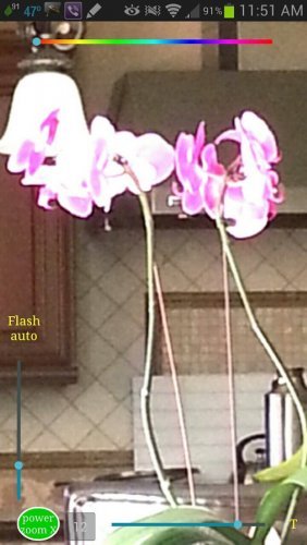 Scientific Camera Pro