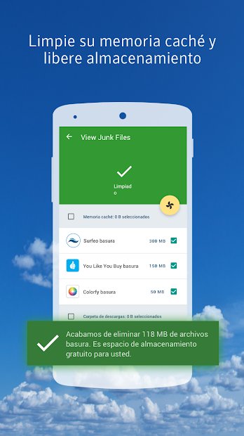 Norton Clean, Junk Removal