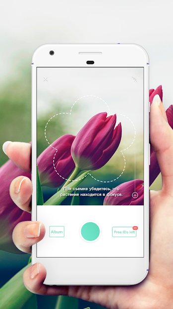 PictureThis растения признать