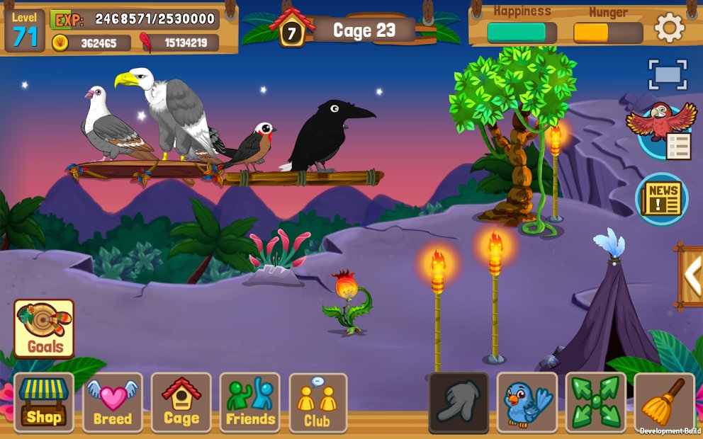Bird Land: Loja de Animais, Jogue com Pássaro