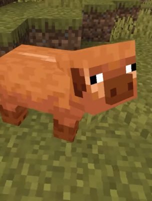 Minecraft 1.21.60