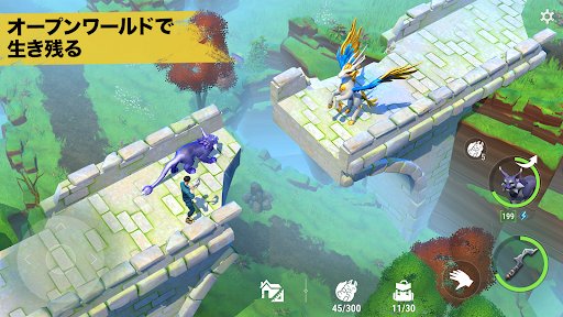 アミキンサバイバル