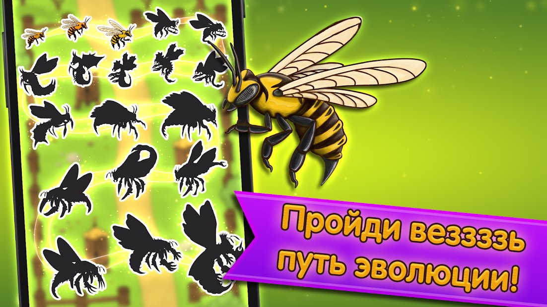 Angry Bee Evolution