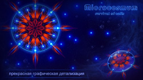 Microcosmum: survival of cells