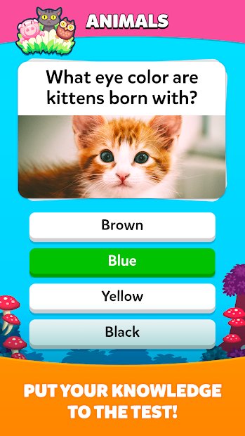 Trivia Crack Adventure