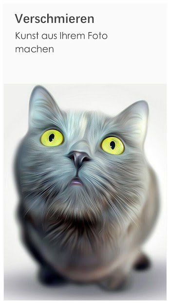 Toolwiz Photos-Pro Editor