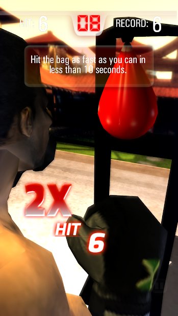 Realtech Iron Fist Boxing