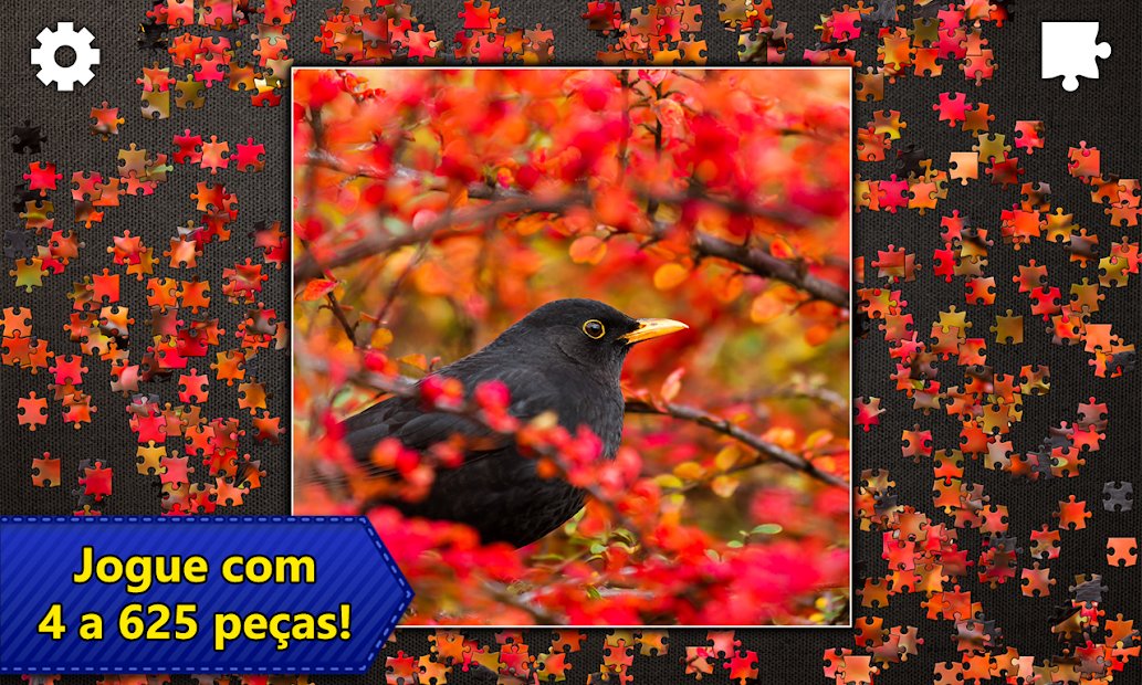 Quebra-Cabeças Jigsaw Puzzles