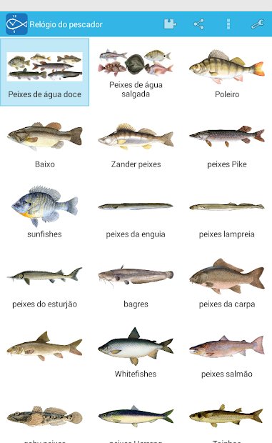 Relógio do pescador