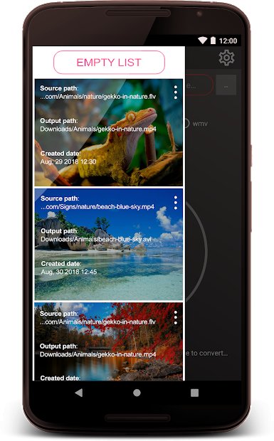 Platinum Media Converter