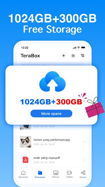 TeraBox