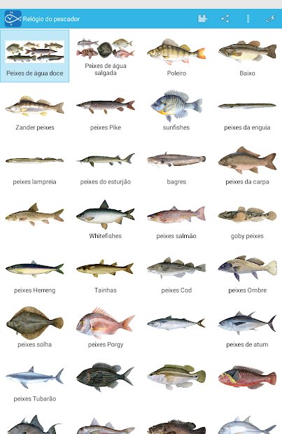 Relógio do pescador