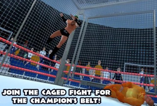 Wrestling Fighting Revolution