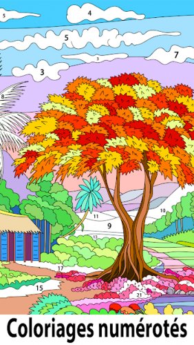 ColorPlanet: Paint by Number